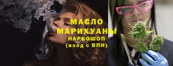 прущие грибы Гусиноозёрск