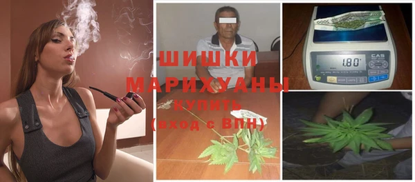 дживик Гусь-Хрустальный