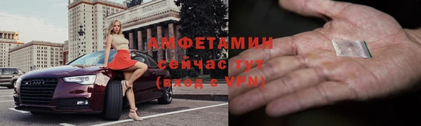 прущие грибы Гусиноозёрск