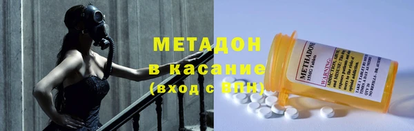 прущие грибы Гусиноозёрск