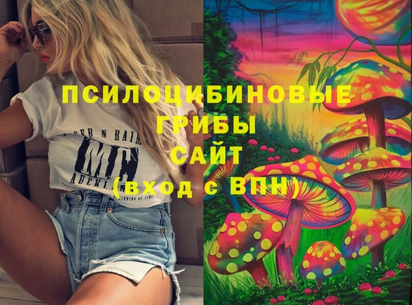 прущие грибы Гусиноозёрск