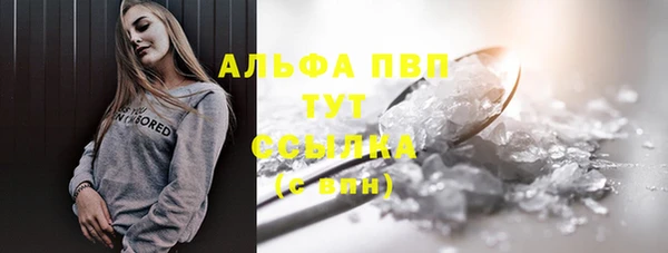 дживик Гусь-Хрустальный