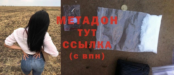 прущие грибы Гусиноозёрск