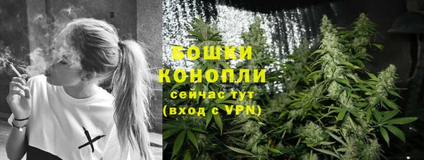 прущие грибы Гусиноозёрск