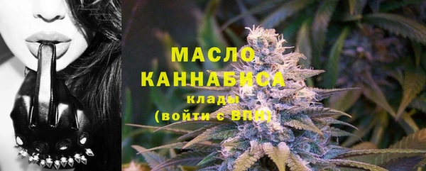 прущие грибы Гусиноозёрск