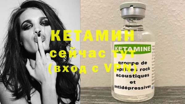 прущие грибы Гусиноозёрск