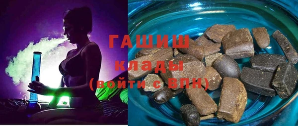 прущие грибы Гусиноозёрск