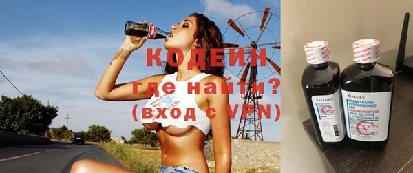 прущие грибы Гусиноозёрск