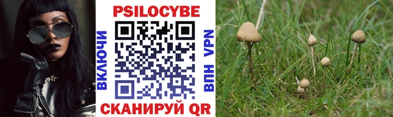 Псилоцибиновые грибы Cubensis  Купить где  Гаврилов Посад 